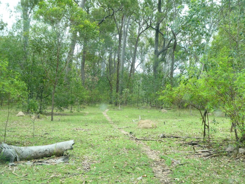 Golden Fleece QLD 4621