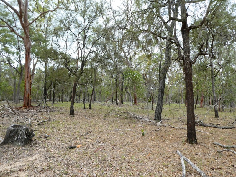 Golden Fleece QLD 4621