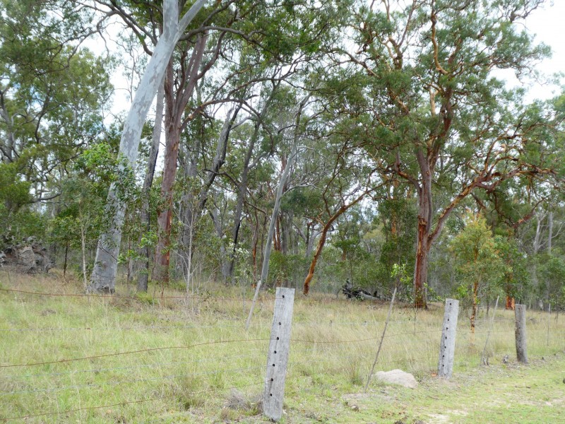 Golden Fleece QLD 4621