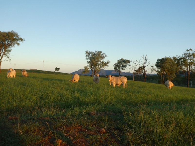Degilbo QLD 4621
