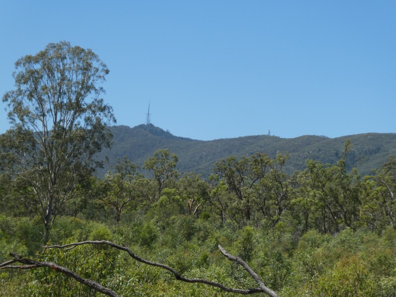 Golden Fleece QLD 4621