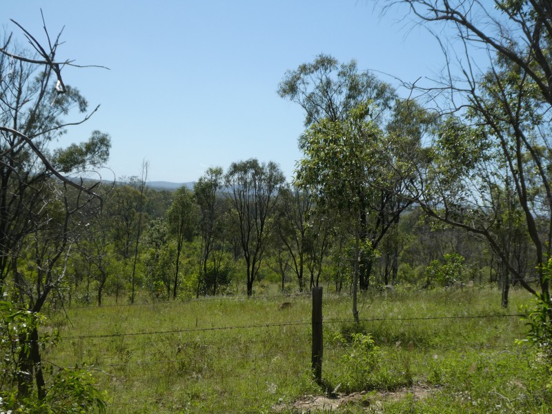 Golden Fleece QLD 4621