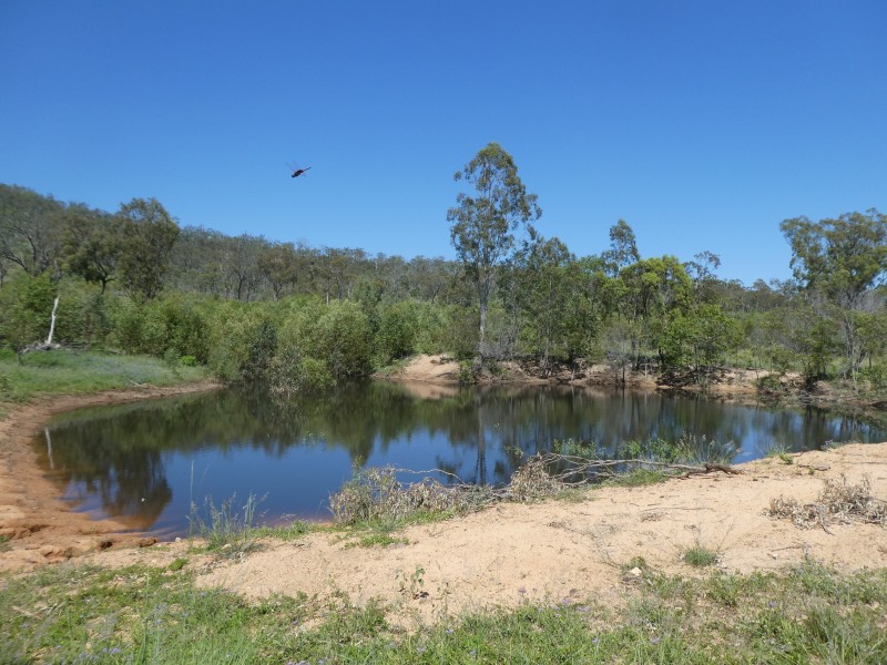 Golden Fleece QLD 4621