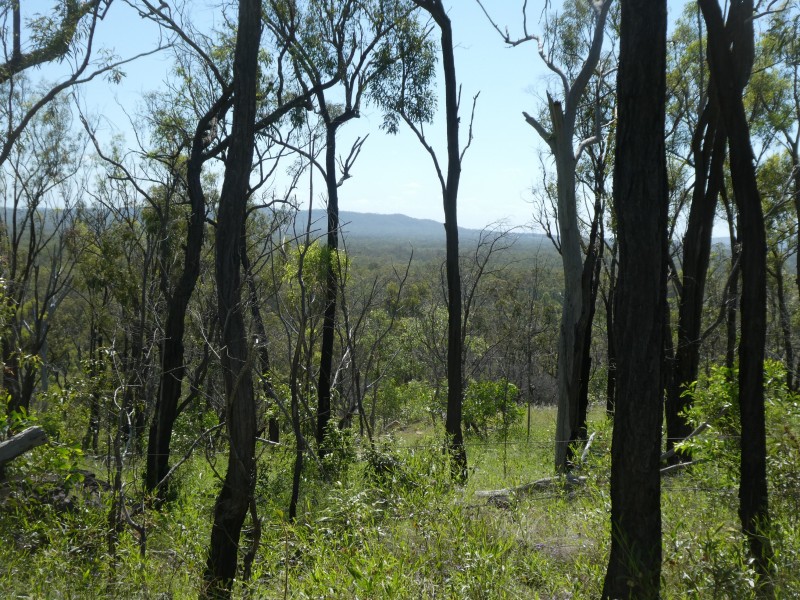 Golden Fleece QLD 4621