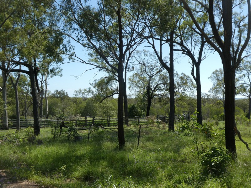 Golden Fleece QLD 4621