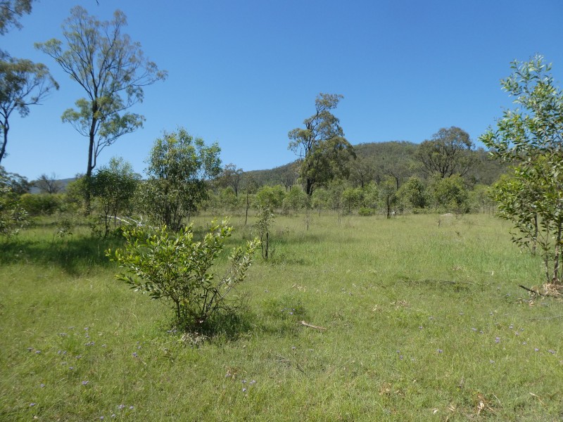 Golden Fleece QLD 4621