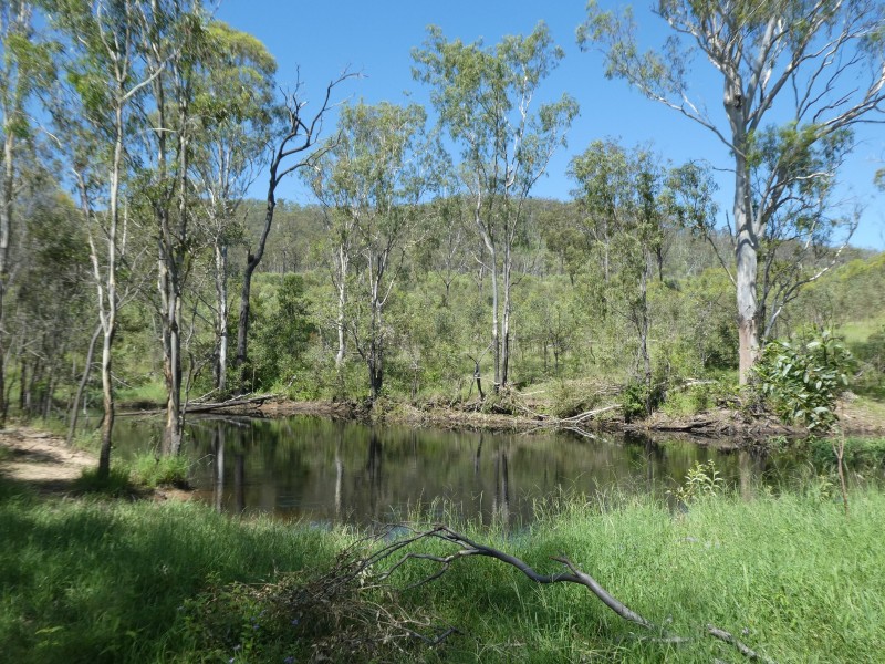 Golden Fleece QLD 4621