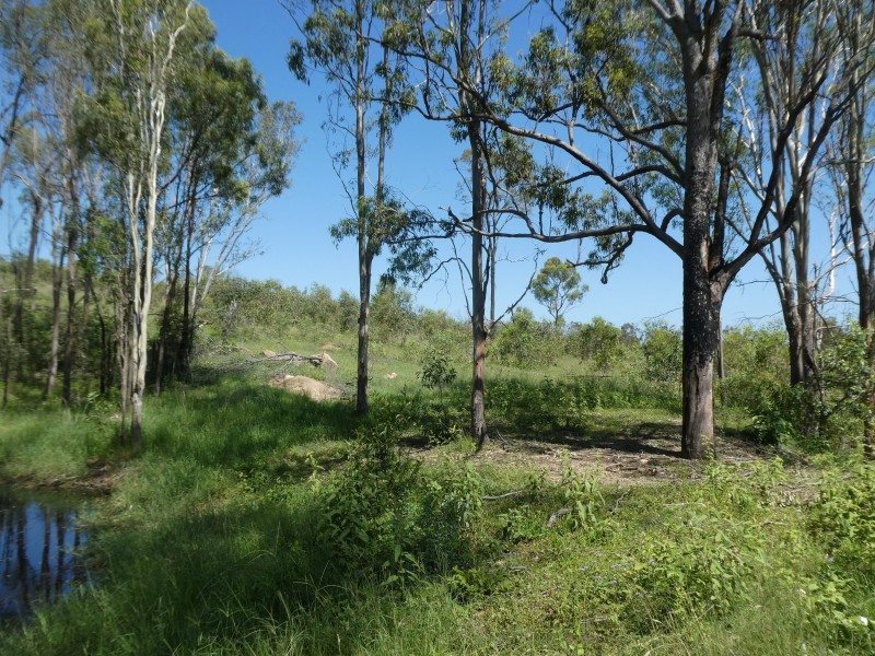 Golden Fleece QLD 4621