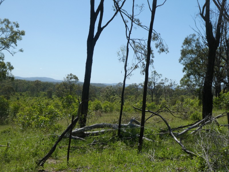 Golden Fleece QLD 4621