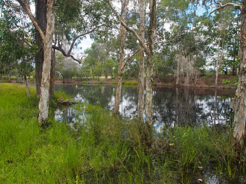 1402 Buxton Road, Buxton QLD 4660