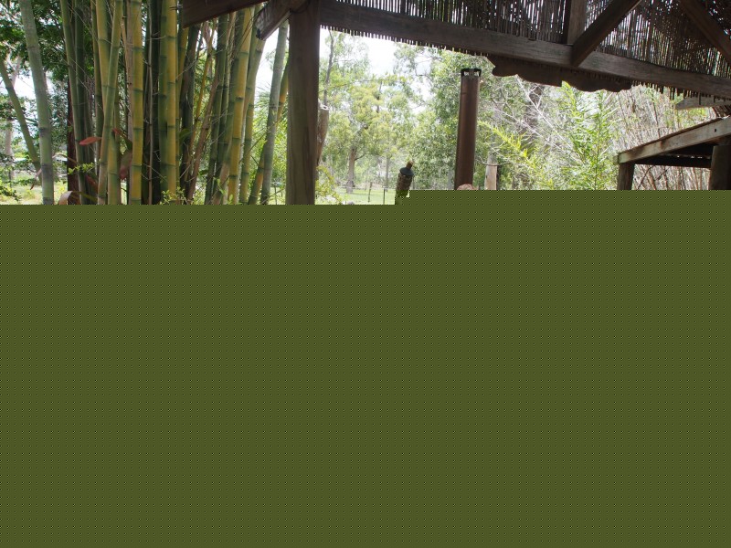 1402 Buxton Road, Buxton QLD 4660