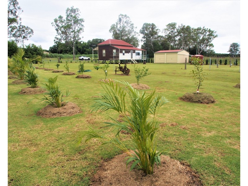 124 STATION ROAD, Horton QLD 4660