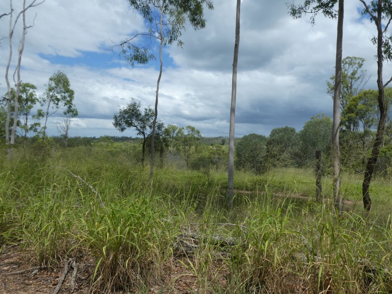 Morganville QLD 4671