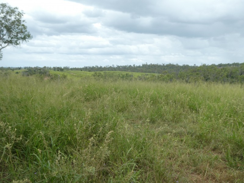 Morganville QLD 4671