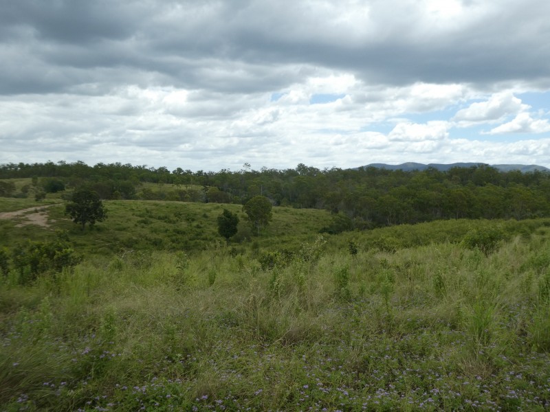 Morganville QLD 4671