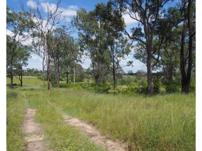 147 GUPPYS ROAD, Eureka QLD 4660