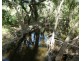 105 FOUNDATION ROAD, Dallarnil QLD 4621