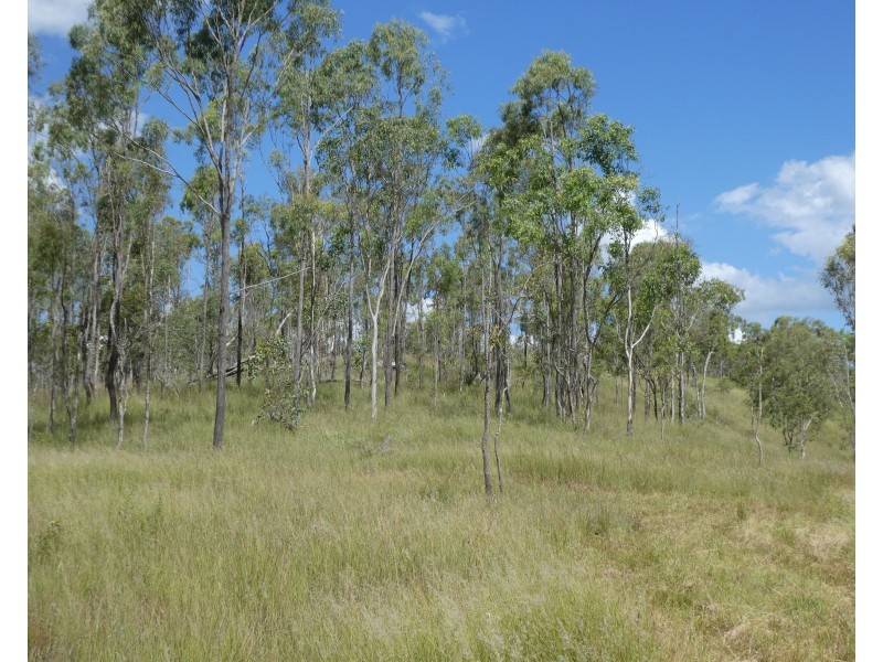 105 FOUNDATION ROAD, Dallarnil QLD 4621