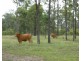 137-259 The Yachtsmans Drive, Burrum River QLD 4659