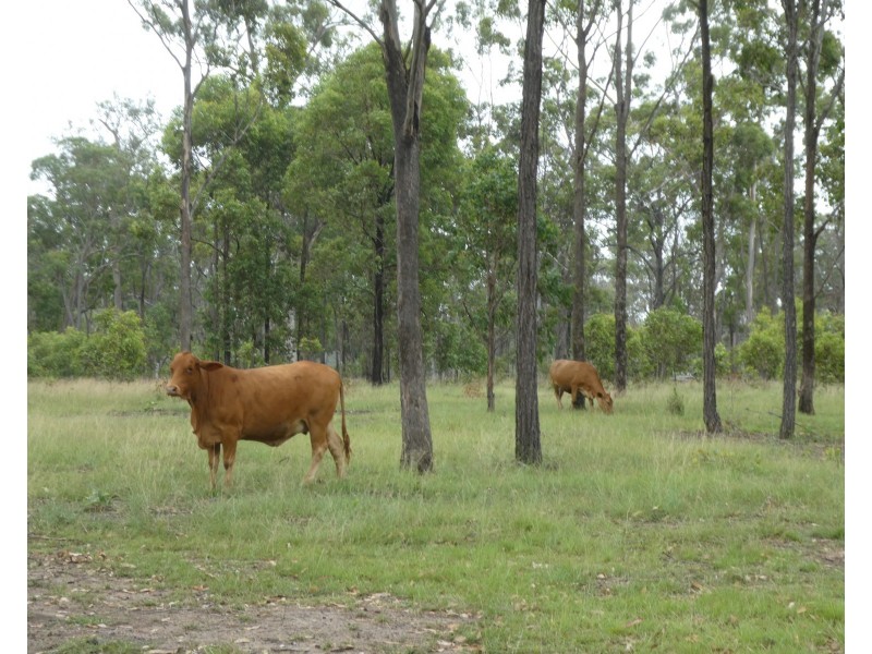 137-259 The Yachtsmans Drive, Burrum River QLD 4659