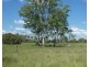 Teebar QLD 4620