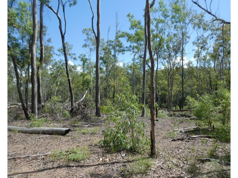 Teebar QLD 4620
