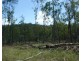 Teebar QLD 4620