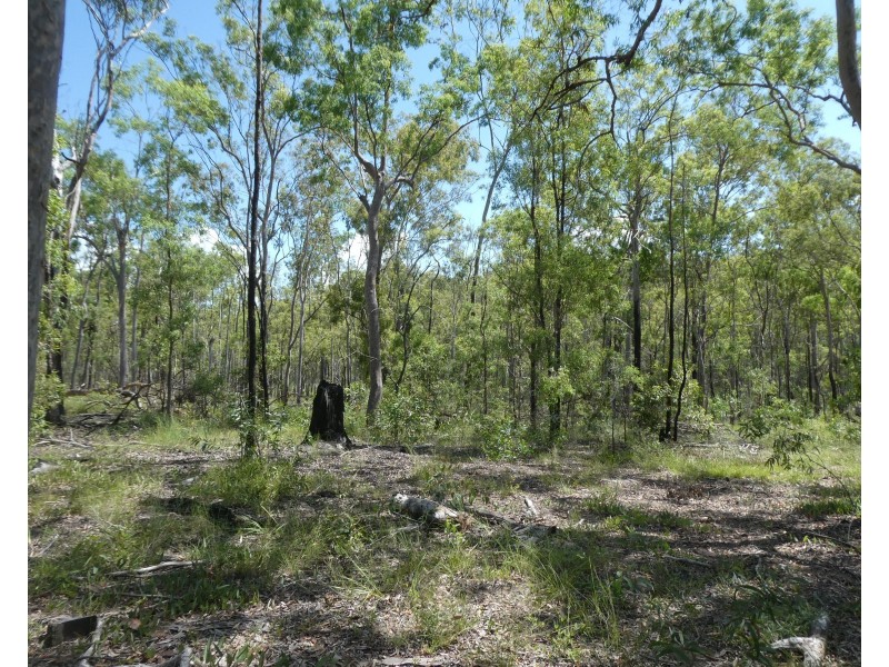 Teebar QLD 4620