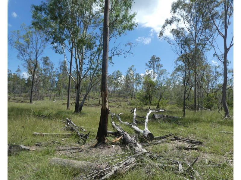 Teebar QLD 4620