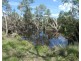 Teebar QLD 4620