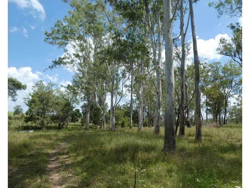 Teebar QLD 4620