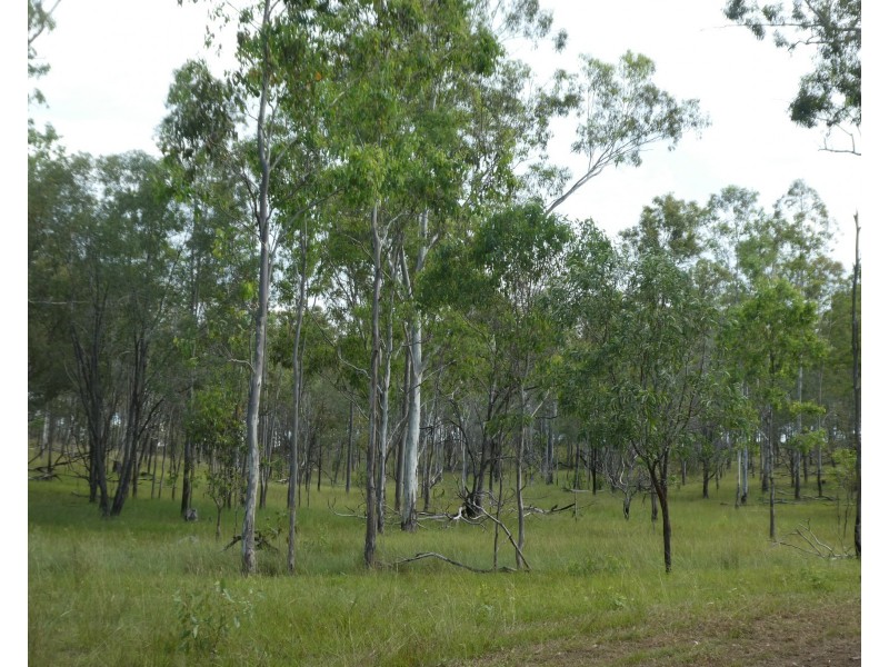 Teebar QLD 4620