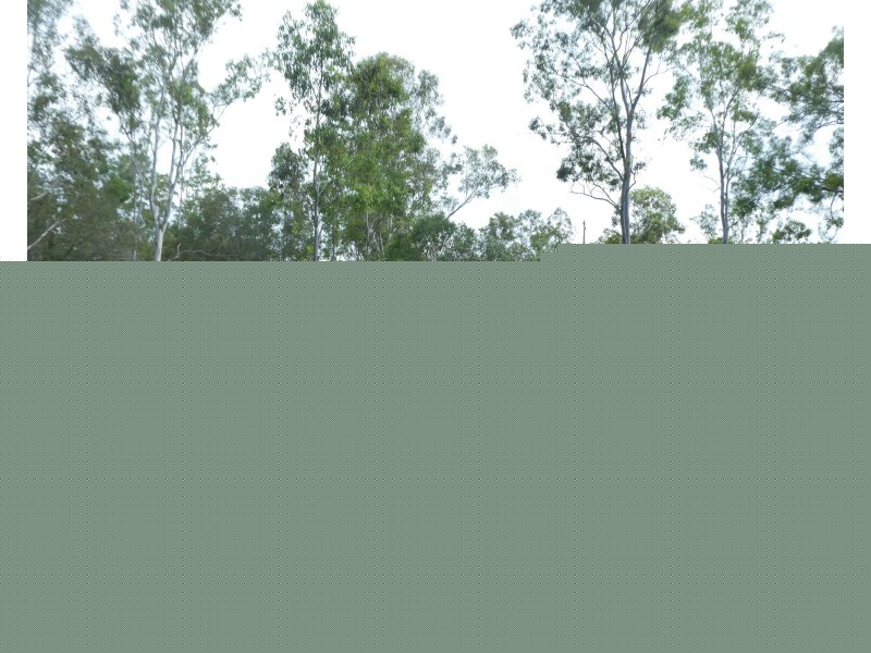 Teebar QLD 4620