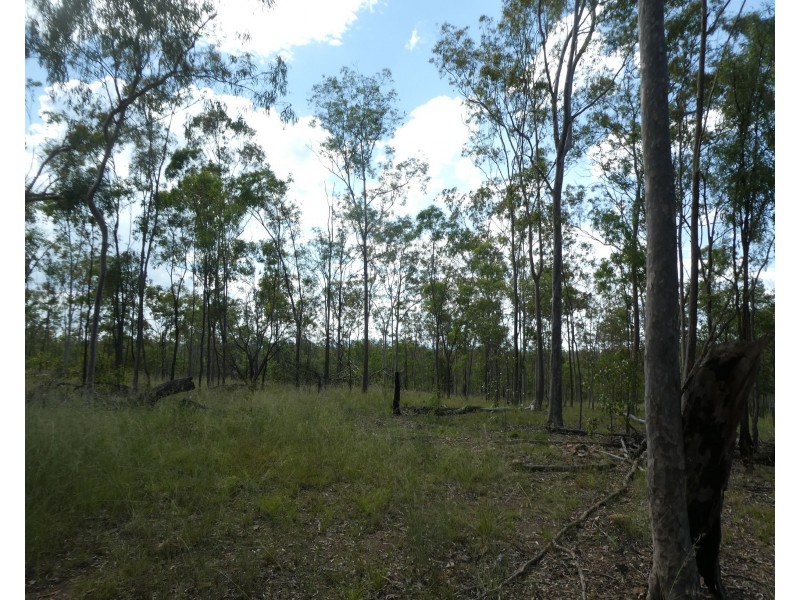 Teebar QLD 4620