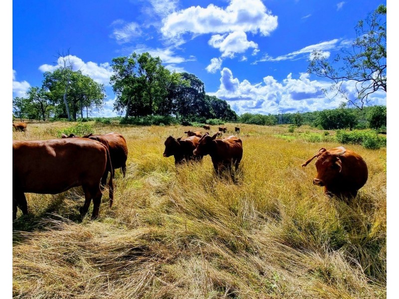 Teebar QLD 4620
