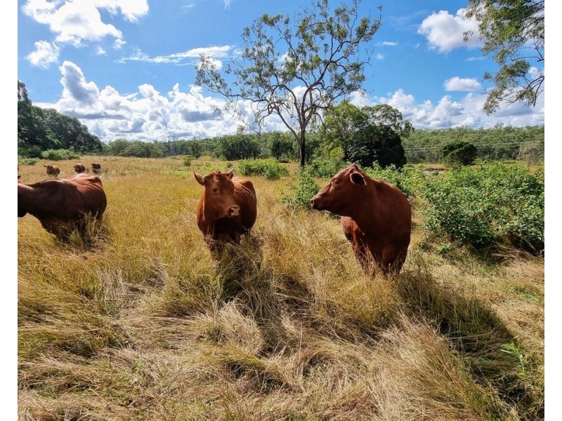 Teebar QLD 4620