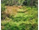 Teebar QLD 4620