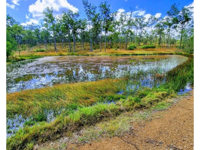 Teebar QLD 4620