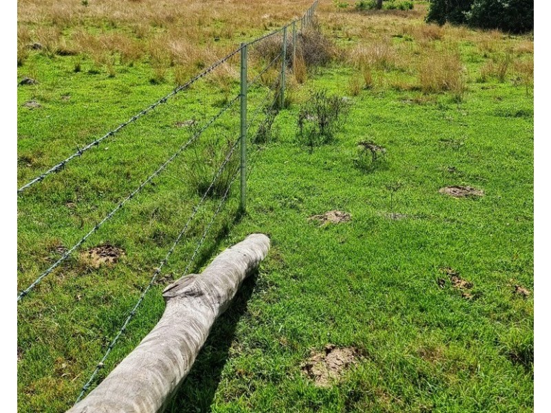 Teebar QLD 4620