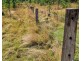 Teebar QLD 4620