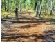 Teebar QLD 4620