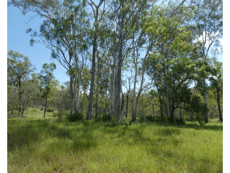 Teebar QLD 4620