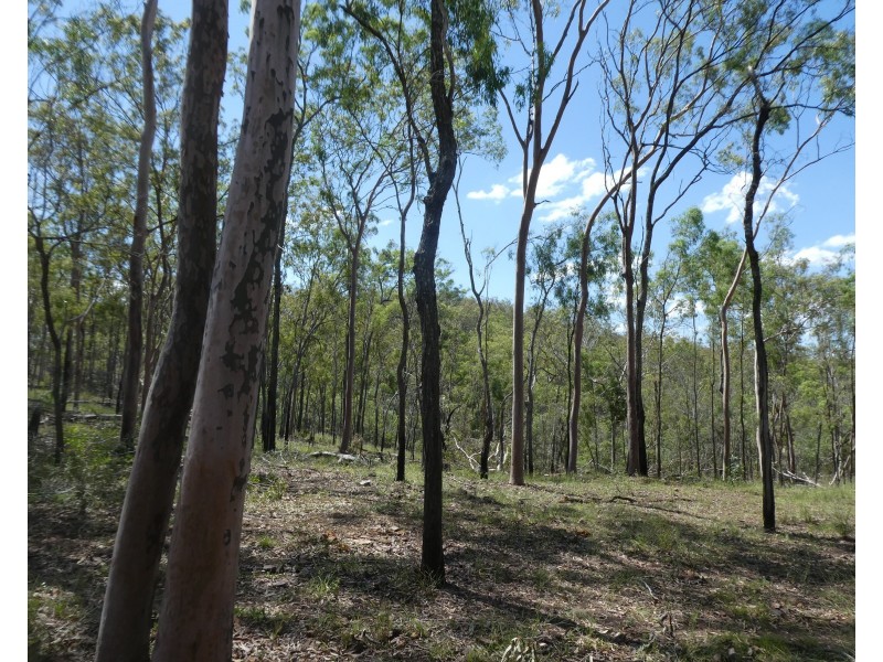 Teebar QLD 4620
