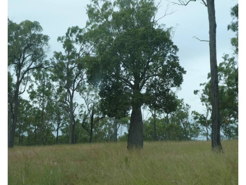 Dallarnil QLD 4621
