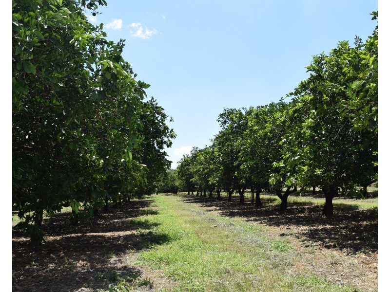 16191 BURNETT HIGHWAY, Gayndah QLD 4625