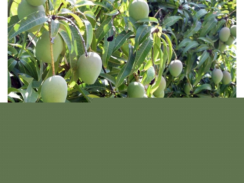 16191 BURNETT HIGHWAY, Gayndah QLD 4625