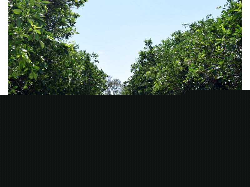 16191 BURNETT HIGHWAY, Gayndah QLD 4625