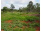 28 GREEN VALLEY COURT, North Isis QLD 4660