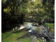 Lot 29-77 PARK AVE, North Isis QLD 4660