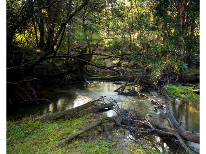 Lot 29-77 PARK AVE, North Isis QLD 4660